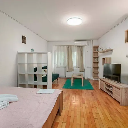 Modern Studio On Decebal Boulevard Apartment *
