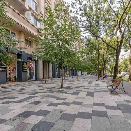 Modern Studio On Decebal Boulevard * Bucharest